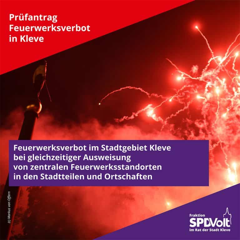 Prüfantrag Verbot Feuerwerk